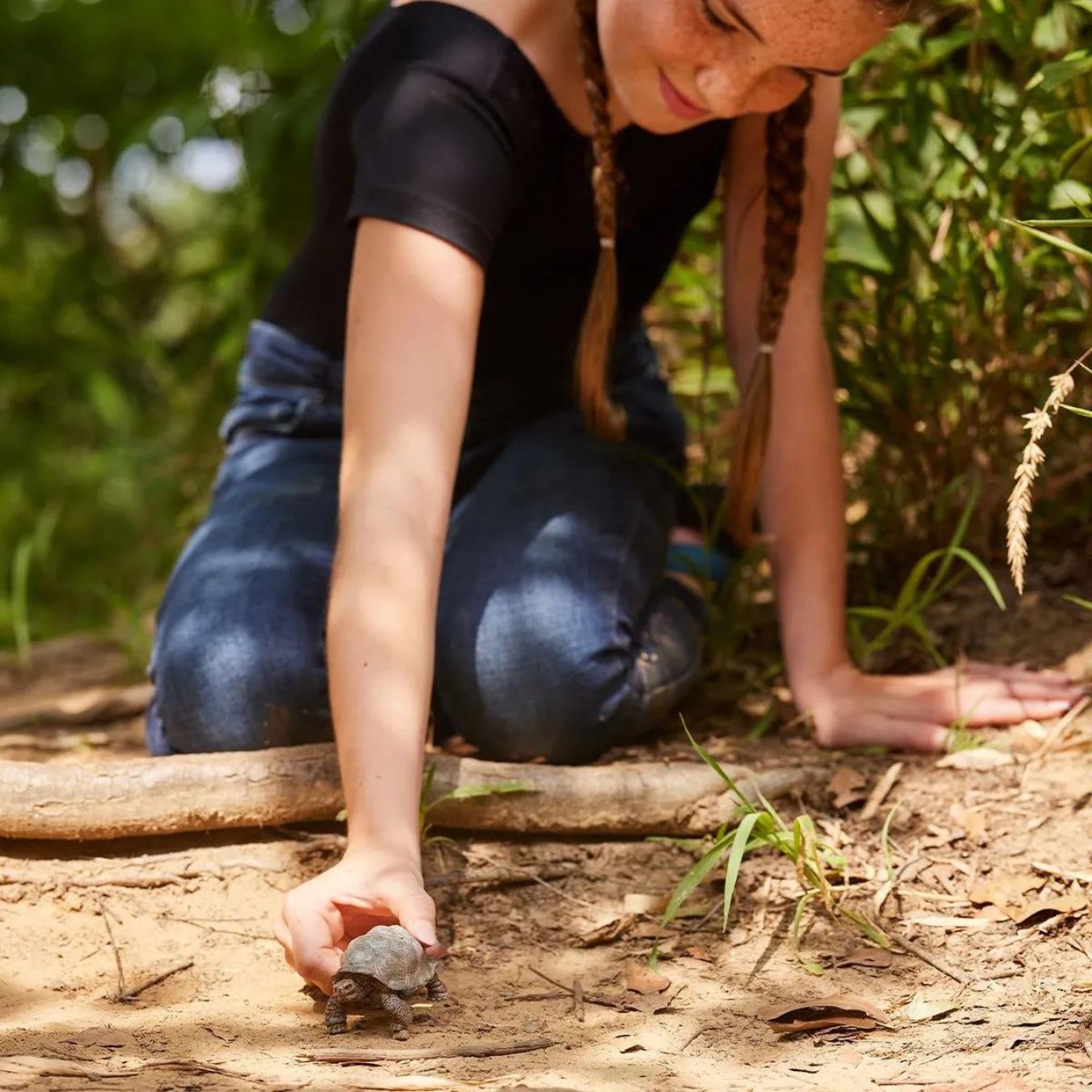 Tribu Box „Schleich SAFARI" – 36+ Monate – Entdecken, Staunen, Geschichten erfinden