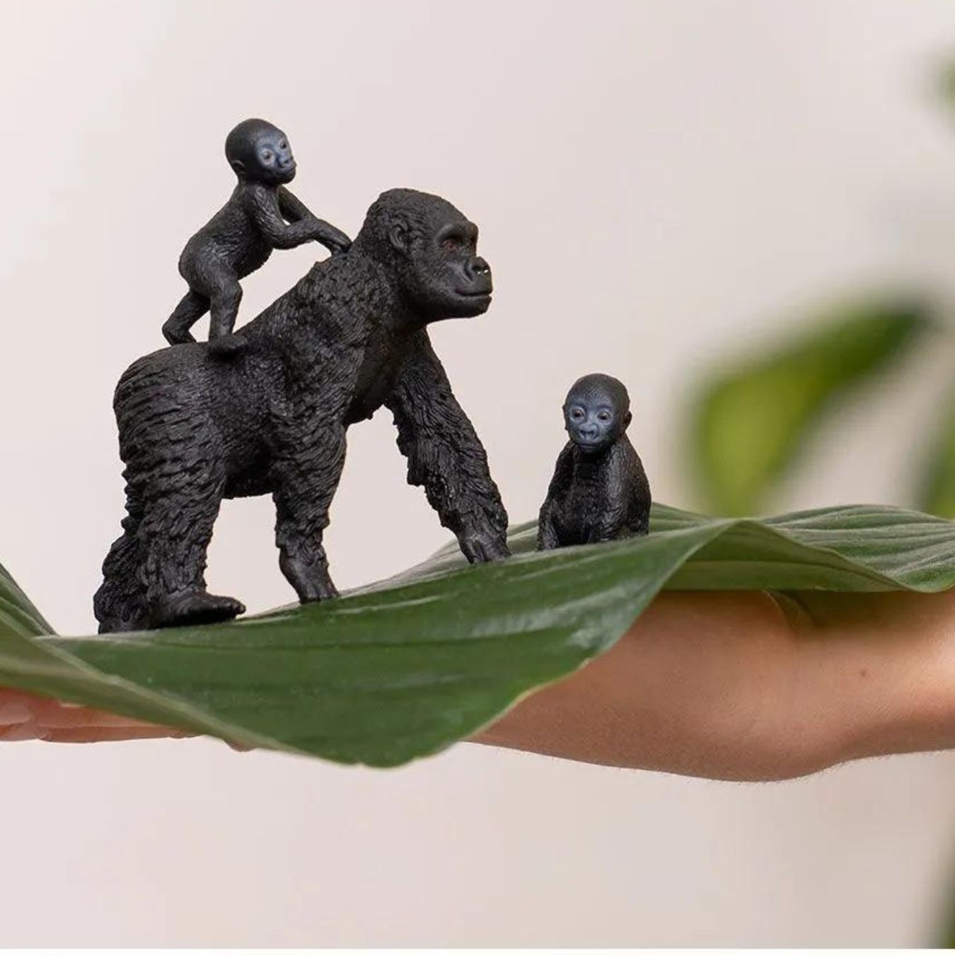Tribu Box „Schleich SAFARI" – 36+ Monate – Entdecken, Staunen, Geschichten erfinden